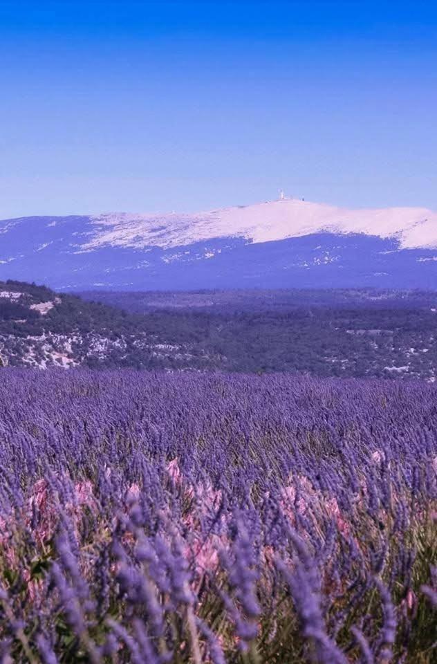 La Fee Viviane Et Michel L'Enchanteur Robion en Luberon Exterior photo